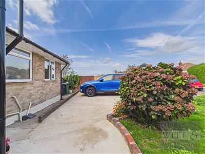 Picture 25
